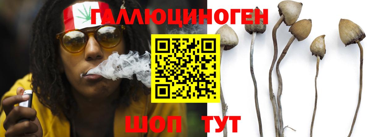 Галлюциногенные грибы мухоморы  Вход с VPN  закладки  Йошкар-Ола  Галлюциногенные грибы MAGIC MUSHROOMS 